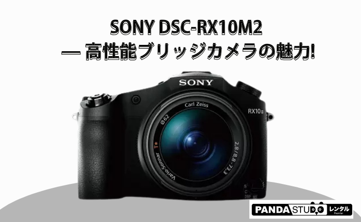 SONY DSC-RX10M2 — 高性能ブリッジカメラの魅力! | PANDA TIMES 