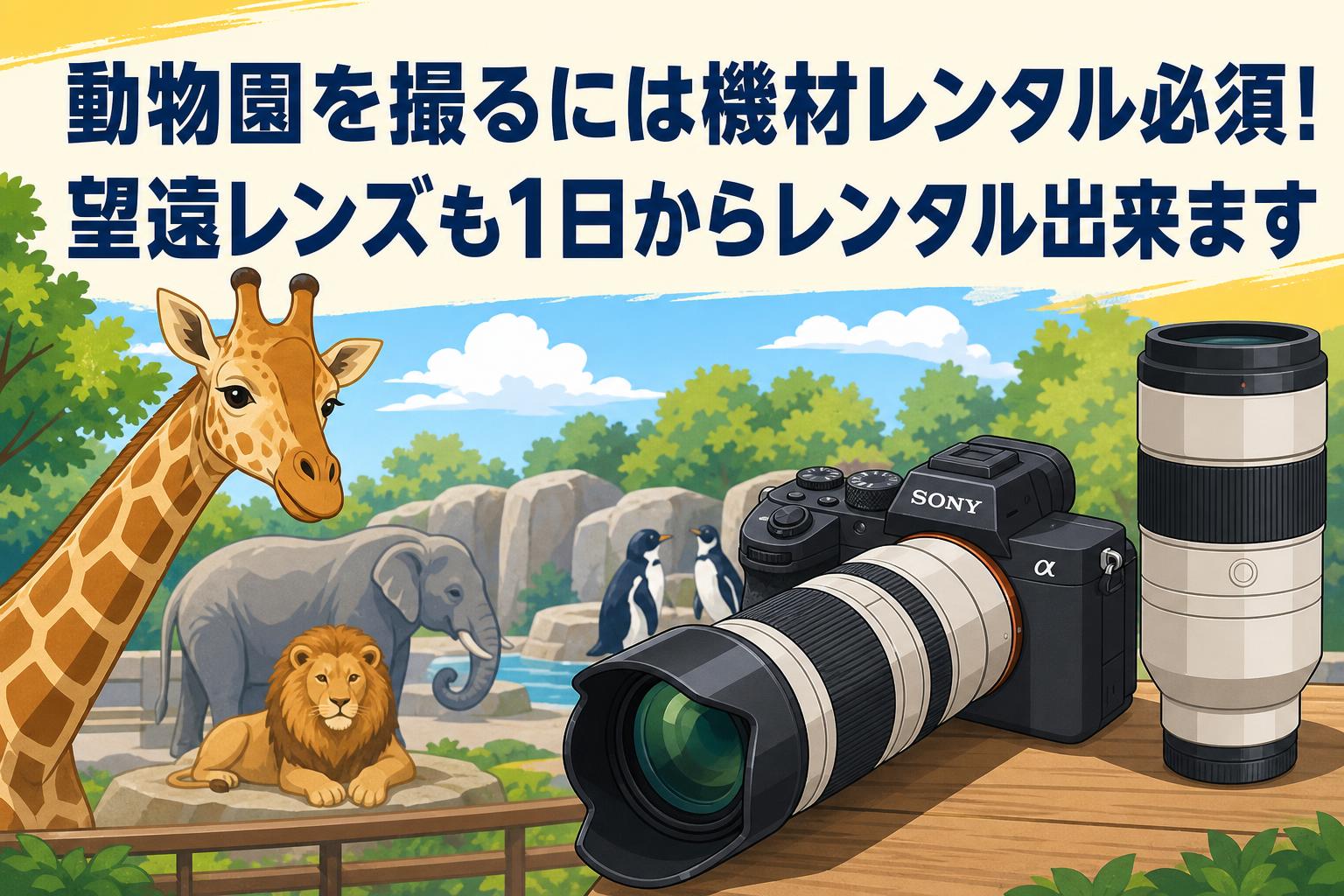 動物園撮影に最適なSONY機材セット完全ガイド｜選び方とおすすめ構成