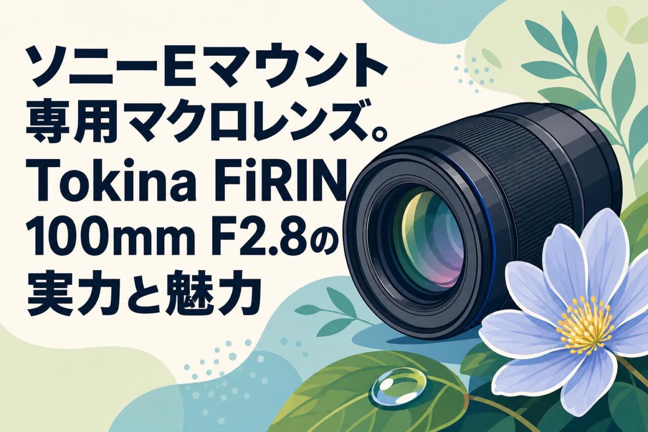 sony マクロレンズ SONY DT 30mm F2.8 マクロレンズ APS-C対応