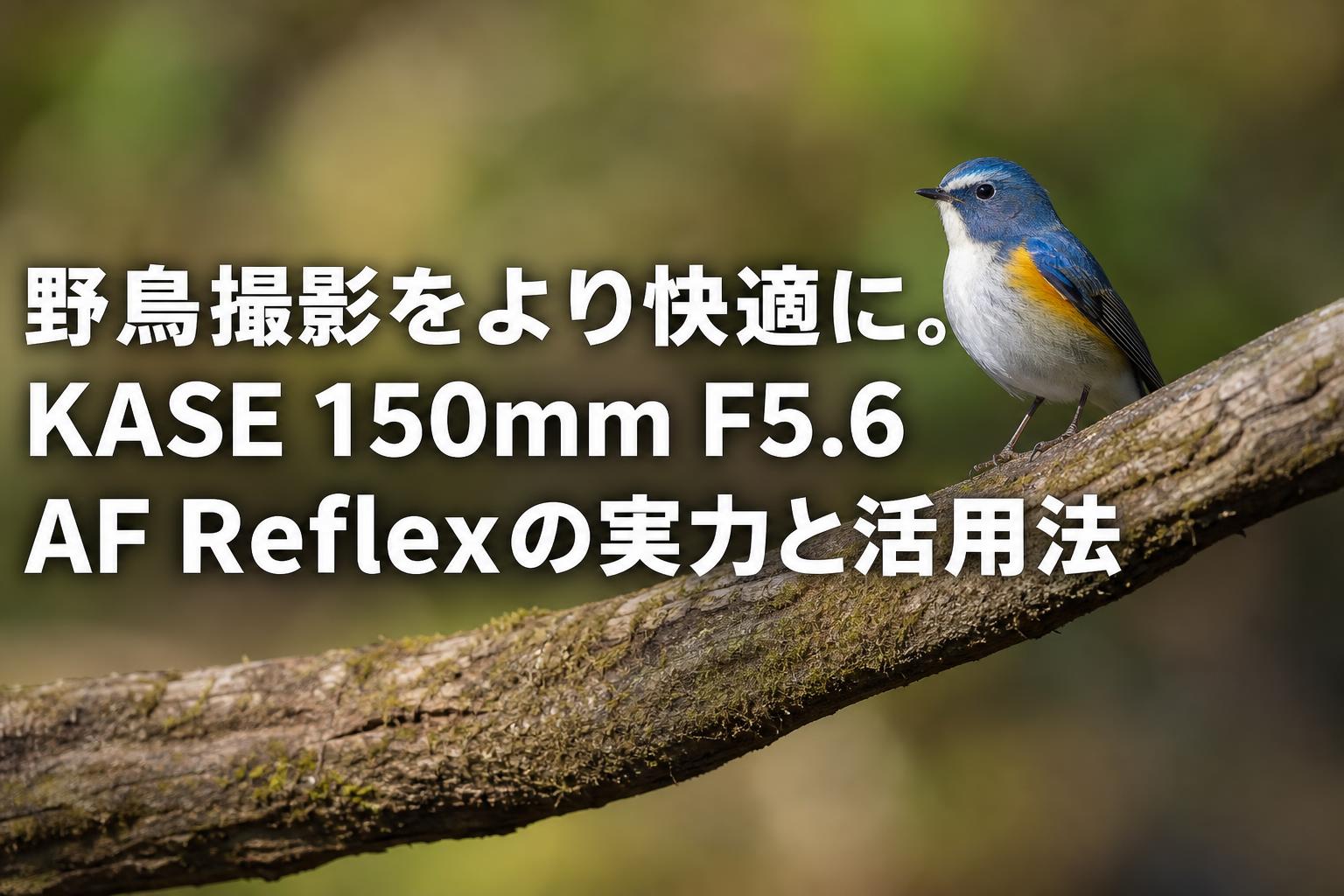 野鳥撮影をより快適に。KASE 150mm F5.6 AF Reflexの実力と活用法