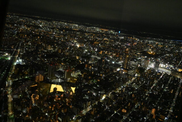 高層ビルの展望台から見下ろした、夜の広大な都市の夜景。眼下には無数のビルの明かりが広がり、遠くには地平線と暗い海や空が広がっています。手前のガラスには、展望台の中にいる人々のシルエットがおぼろげに写り込んでいます