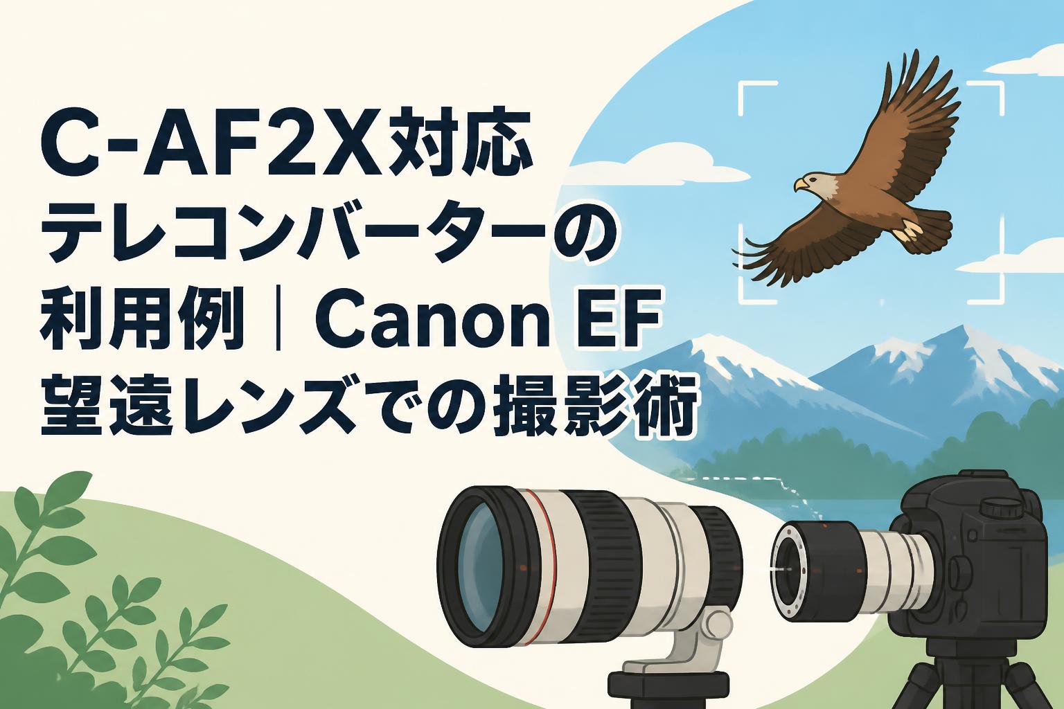 ❤️2倍テレコン付き❤️Canon EOS R 超望遠トリプルレンズ❤️ C-AF2X対応テレコンバーターの利用例｜Canon EF望遠レンズでの撮影術