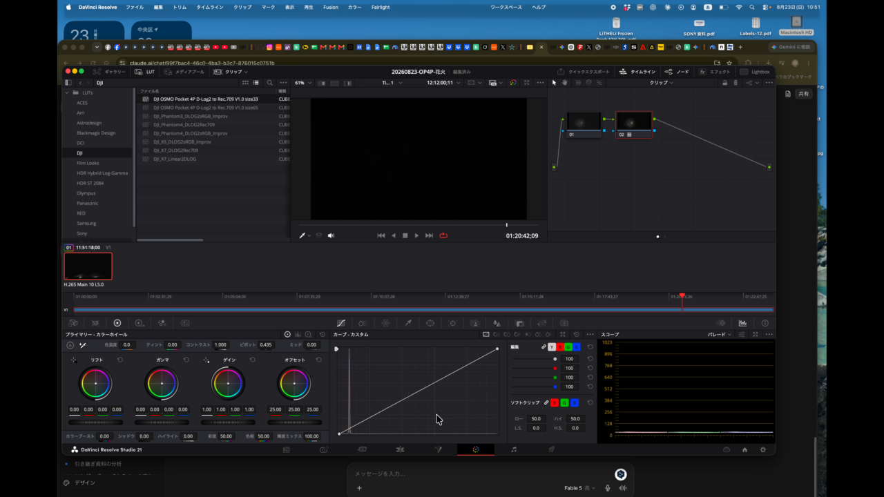 DaVinci Resolveのカラーページ。ノードグラフに調整用ノードとLUT専用ノードが並んでいる