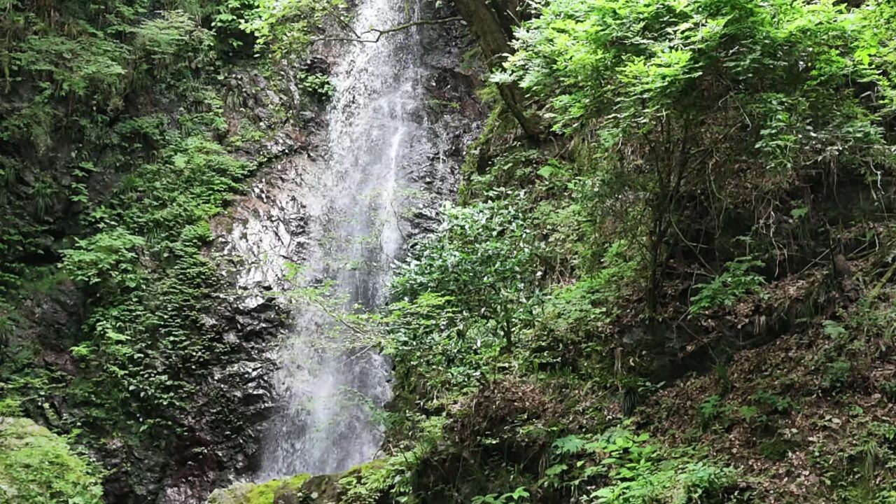 檜原村・払沢の滝を8倍スローで撮影した映像からの切り出し。岩肌を流れ落ちる水の筋が一本ずつ見えている