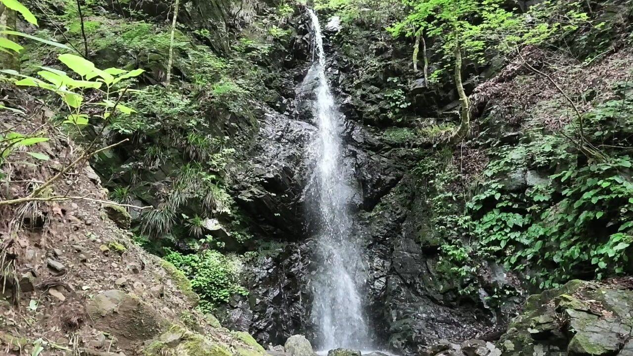 緑に囲まれた檜原村・龍神の滝の全景。8倍スロー映像からの切り出し