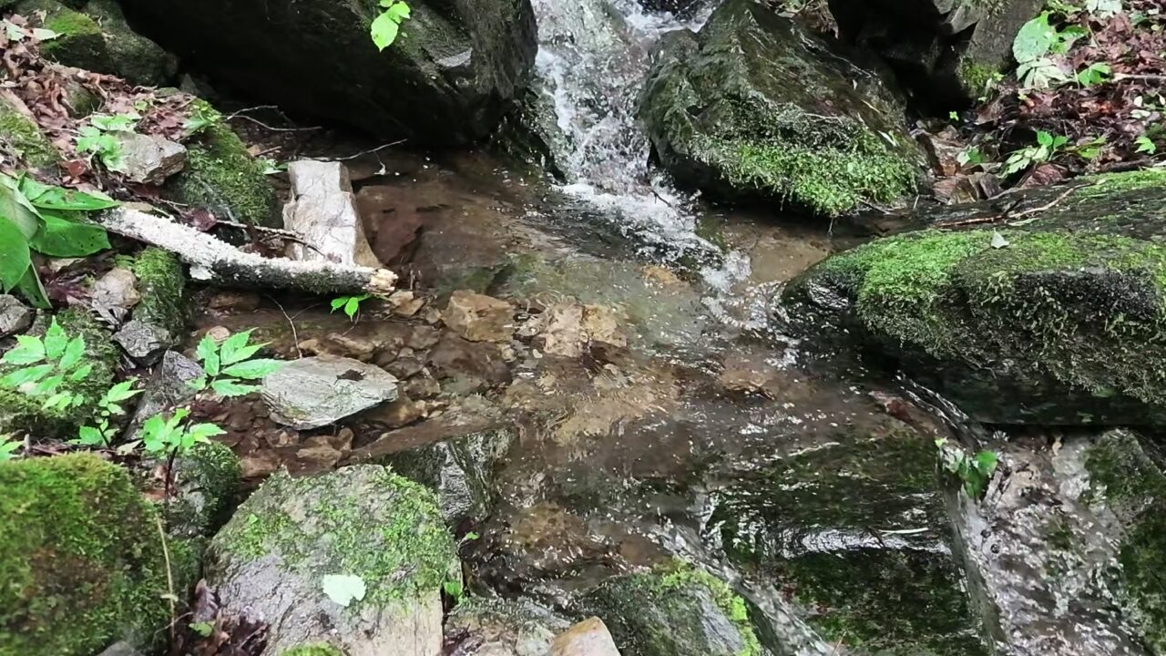 龍神の滝周辺の苔むした岩の間を流れる沢の水に寄ったカット。水しぶきの粒が空中で止まって見える