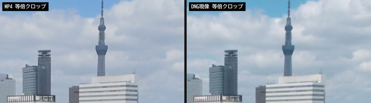 スカイツリー周辺の等倍クロップ比較。左がMP4、右がDNG現像。解像感の差はわずか