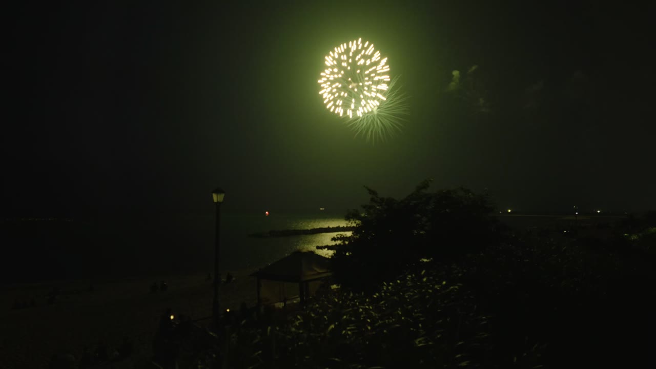 低照度モードで撮った花火。手前の木と浜辺が見え、花火の光が少し滲んでいる