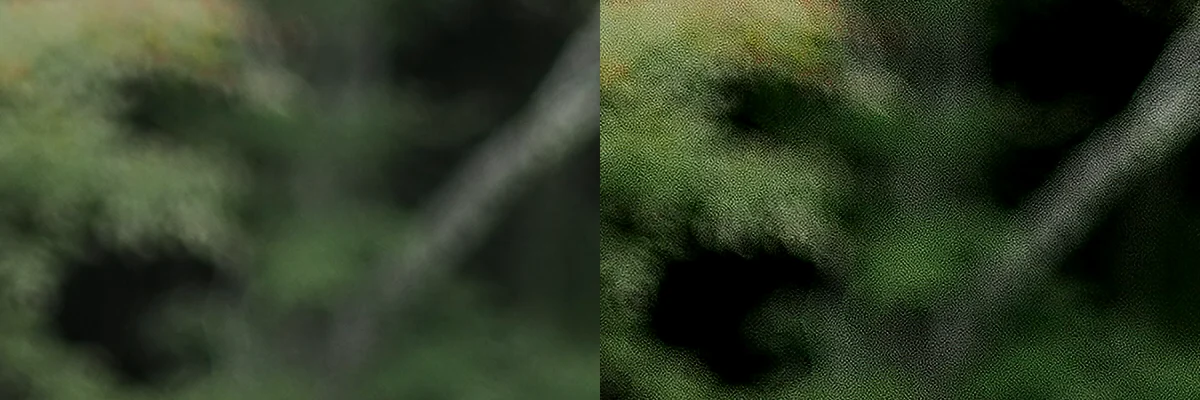 背景の森の等倍クロップ。左が未処理、右がUltraSharpen 100。右は粒状のノイズが全面に乗っている
