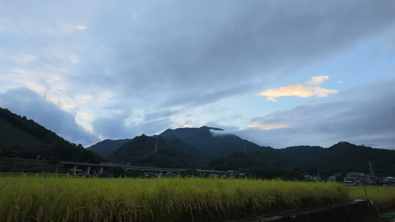 17時32分。田んぼの稲穂の向こうに山並み、雲の切れ間に夕焼けのオレンジ。Osmo Pocket 4Pの通常タイムラプス冒頭