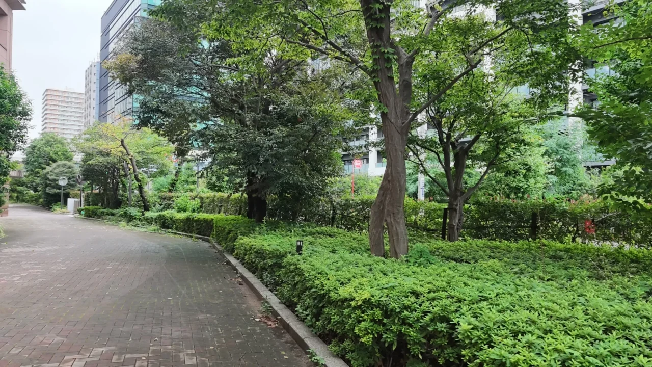 ハイパーラプス本編の8秒目。植え込みと並木の緑道を進んでいく場面